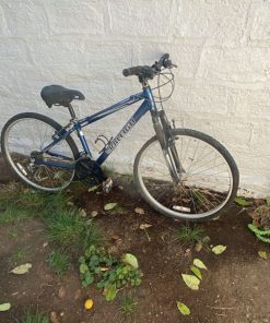 Bicicleta Raleigh Mojave 2.0 aro 24