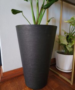 Monstera en macetero tubular doble fondo desmontable