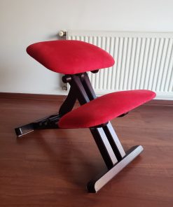 Silla ergonómica con apoyo para rodillas cotelé