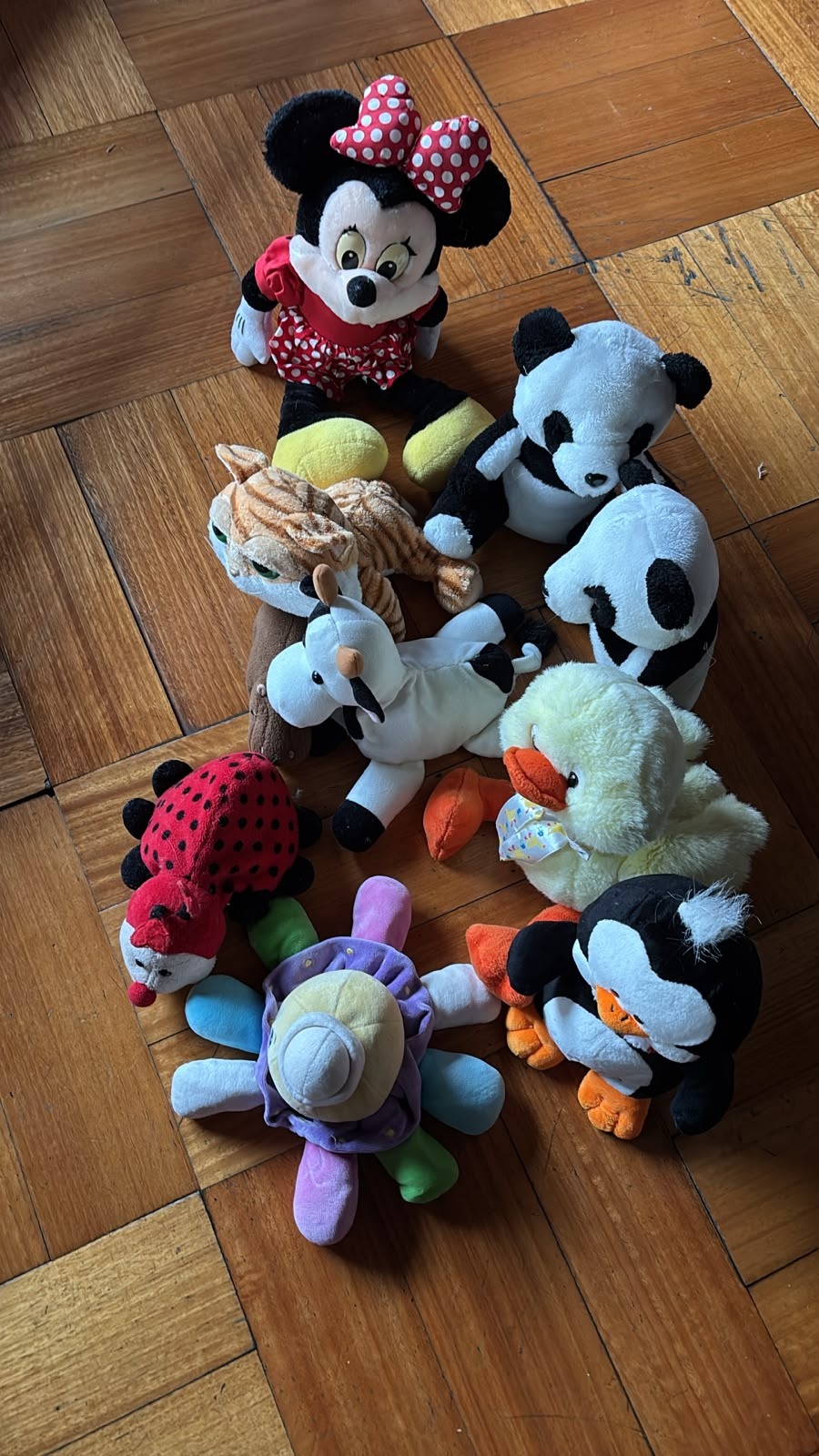 Set 10 peluches variados