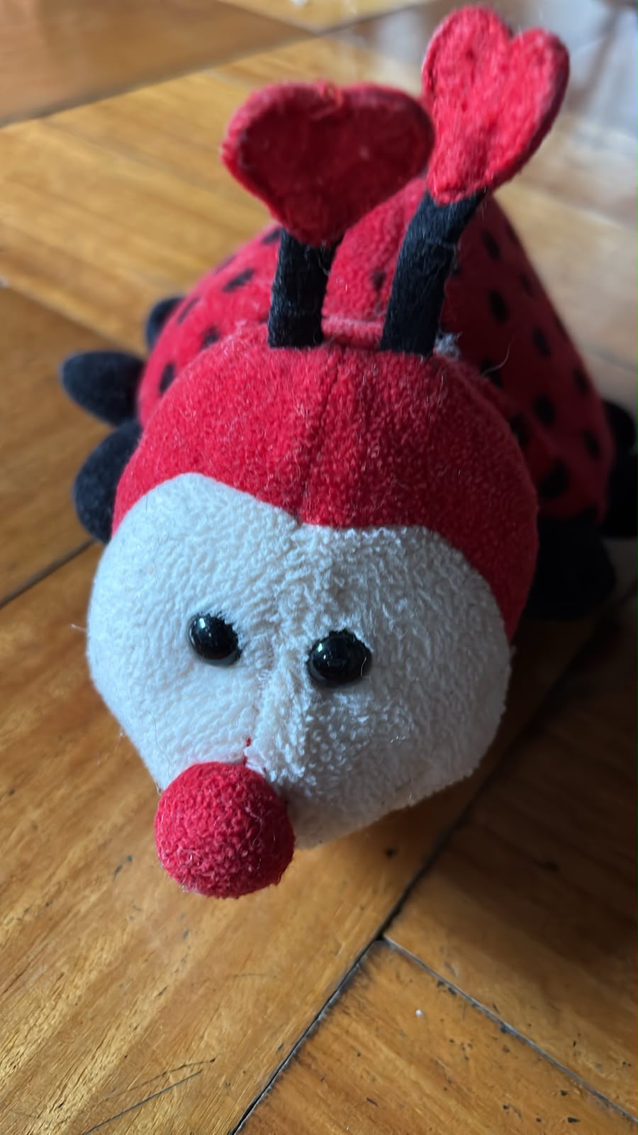 Set 10 peluches variados - Imagen 5