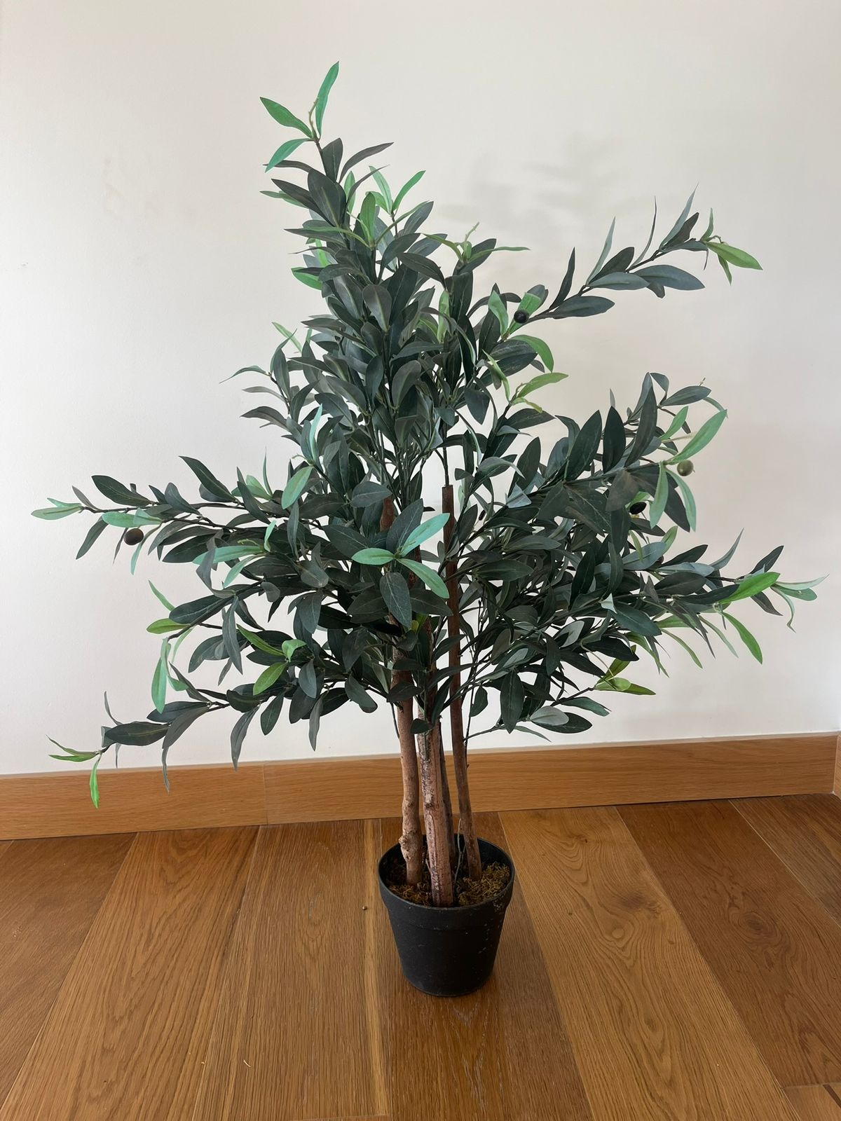 Planta Olivo artificial garden express