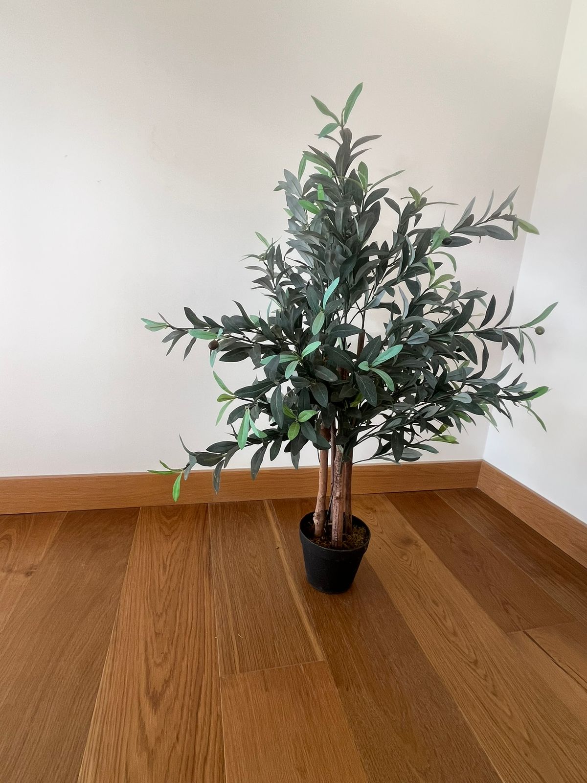 Planta Olivo artificial garden express - Imagen 2