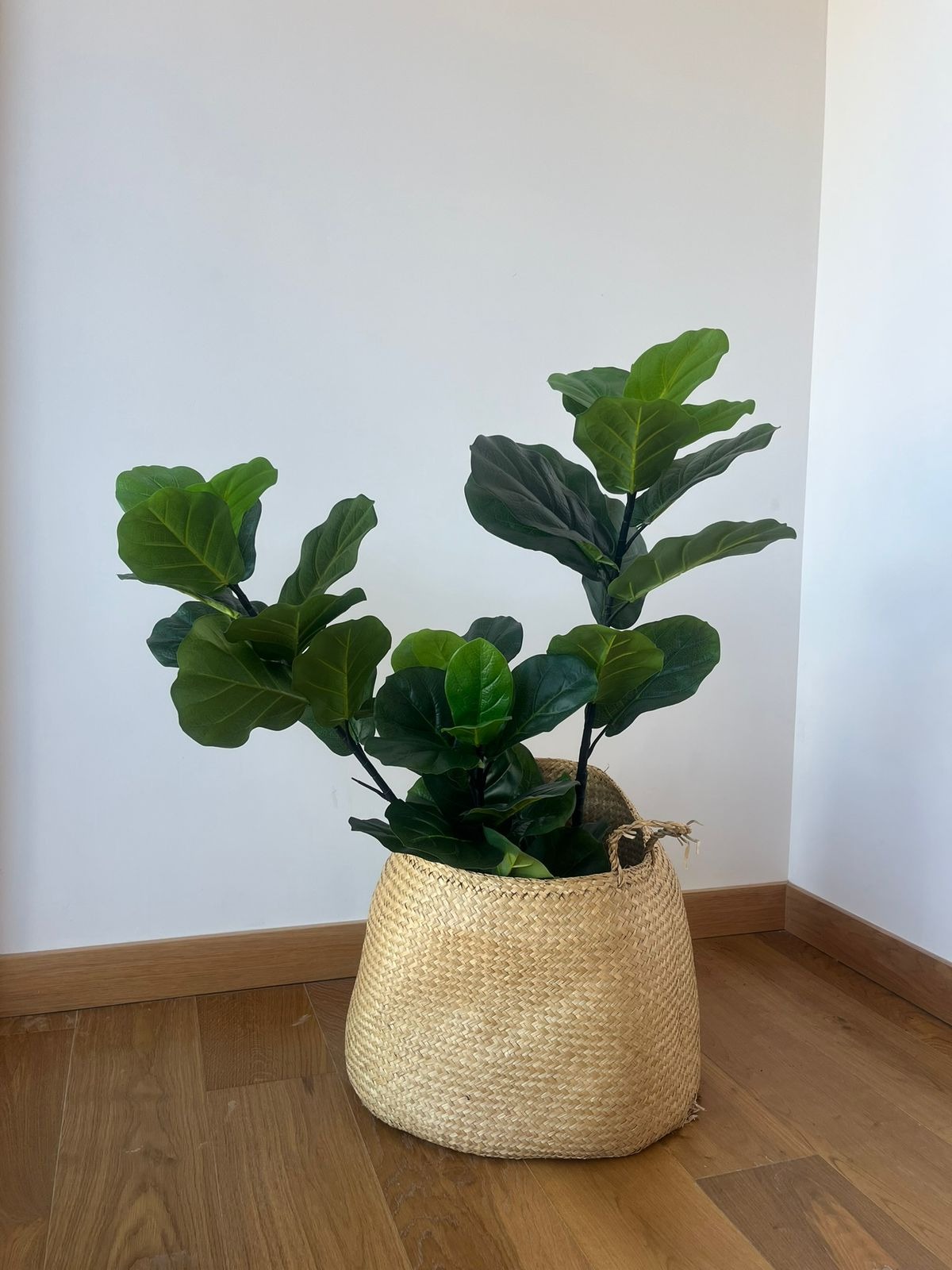 Planta Ficus Lyrata Artificial Garden express