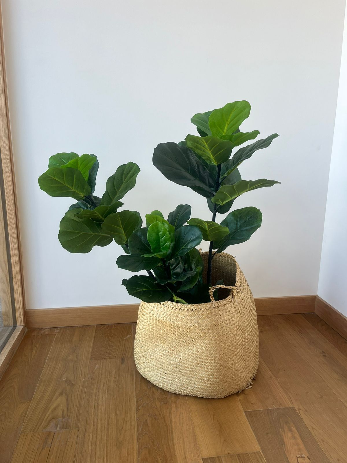 Planta Ficus Lyrata Artificial Garden express - Imagen 2