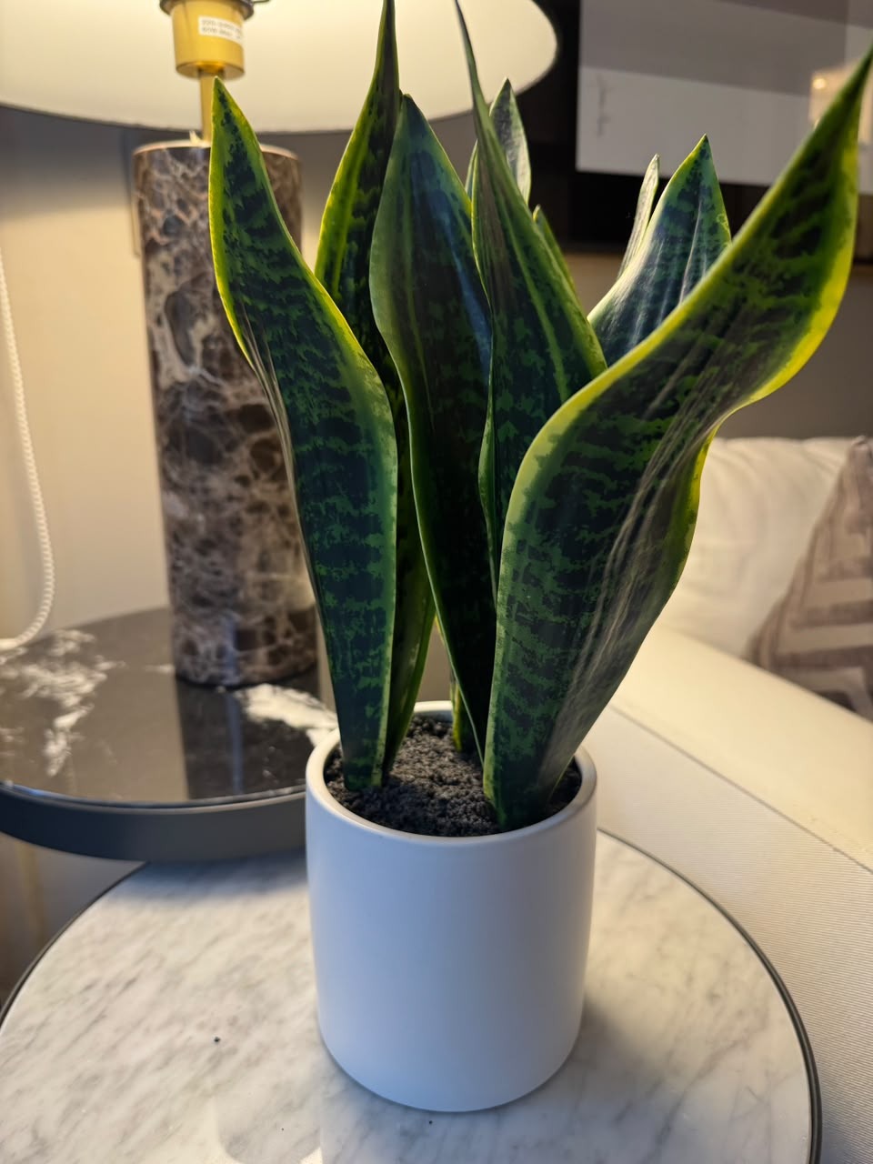 Planta Artificial Lengua de Suegra