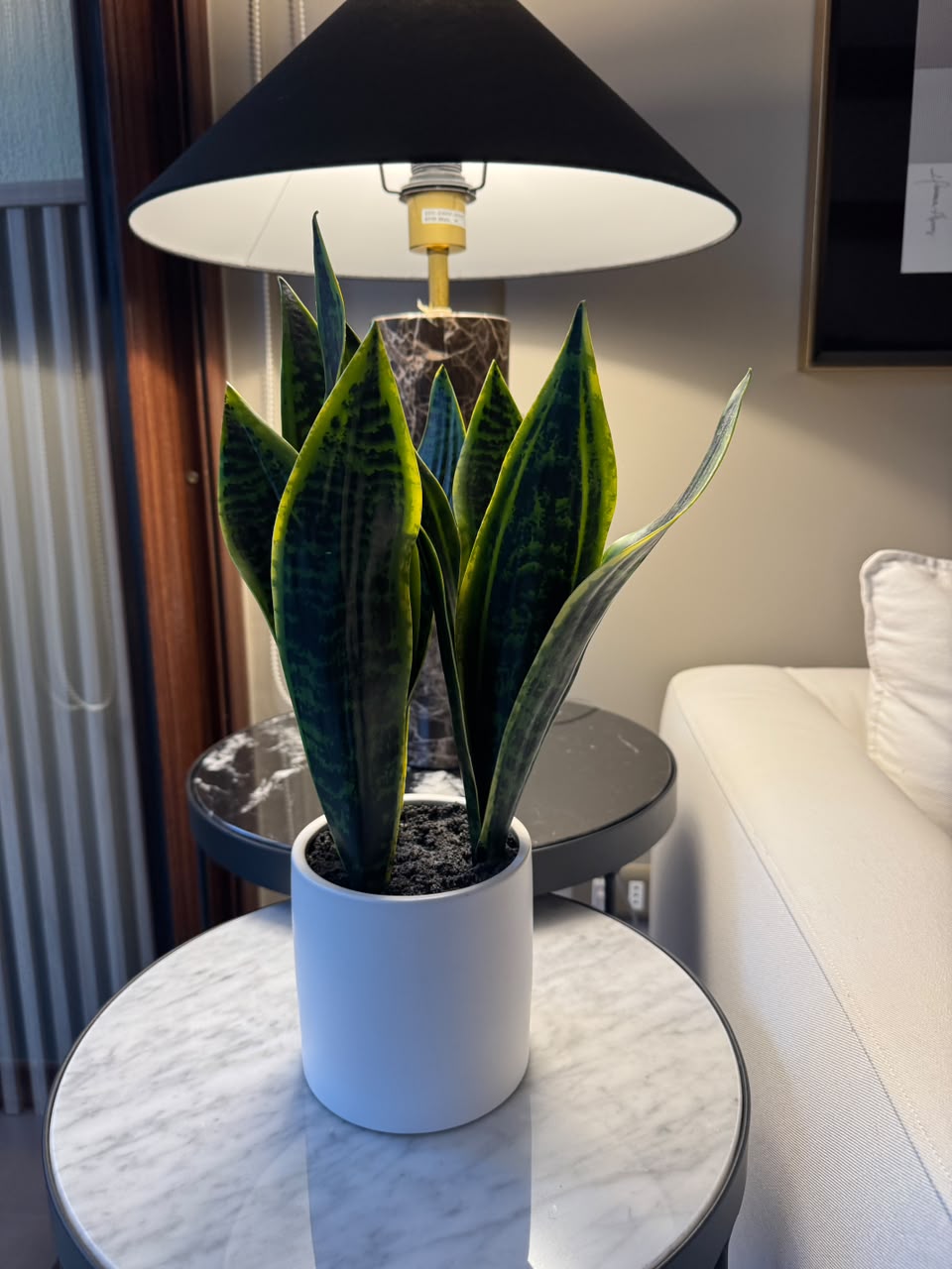 Planta Artificial Lengua de Suegra - Imagen 2