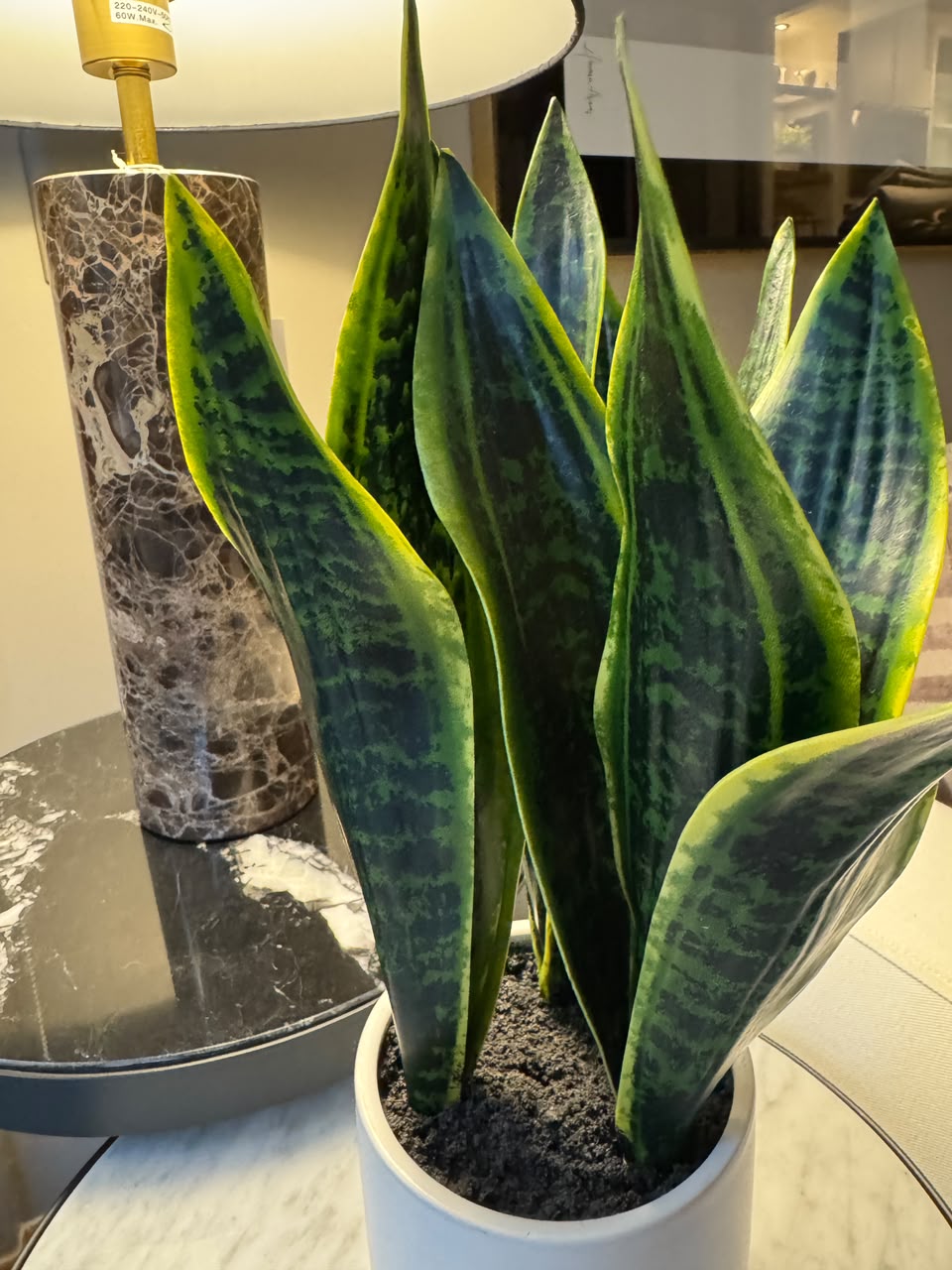 Planta Artificial Lengua de Suegra - Imagen 3