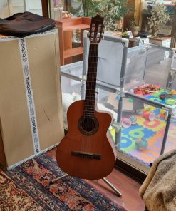 Guitarra Acústica Ibañez con Atril