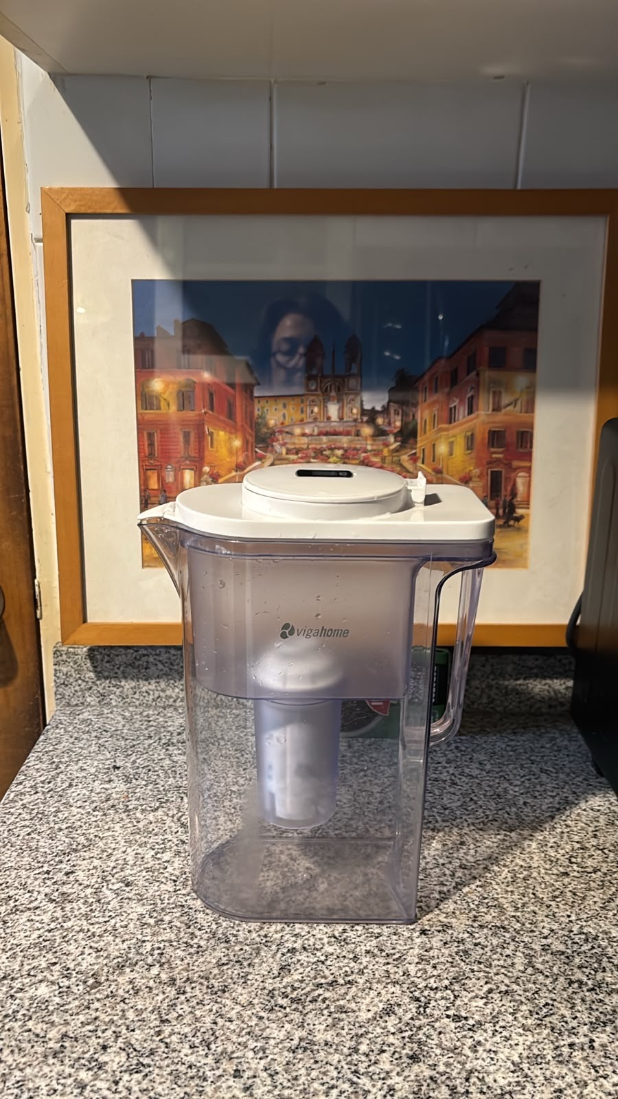 Jarra purificadora de agua Vigahome