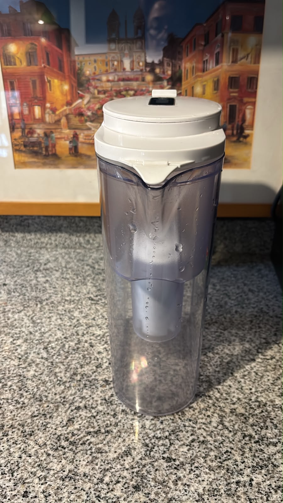 Jarra purificadora de agua Vigahome - Imagen 3