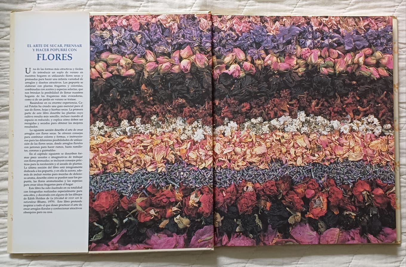 Libro El arte de secar, prensar y hacer popurrí con flores - Imagen 2