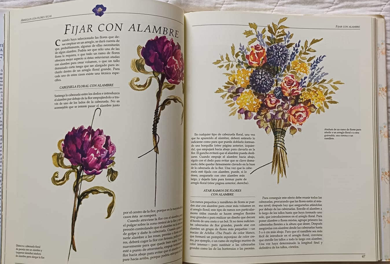 Libro El arte de secar, prensar y hacer popurrí con flores - Imagen 5