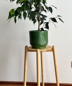 Soporte para plantas DAKSJUS con ficus Benjamina Ikea