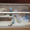 Jaula casa para Hamster o Cuy