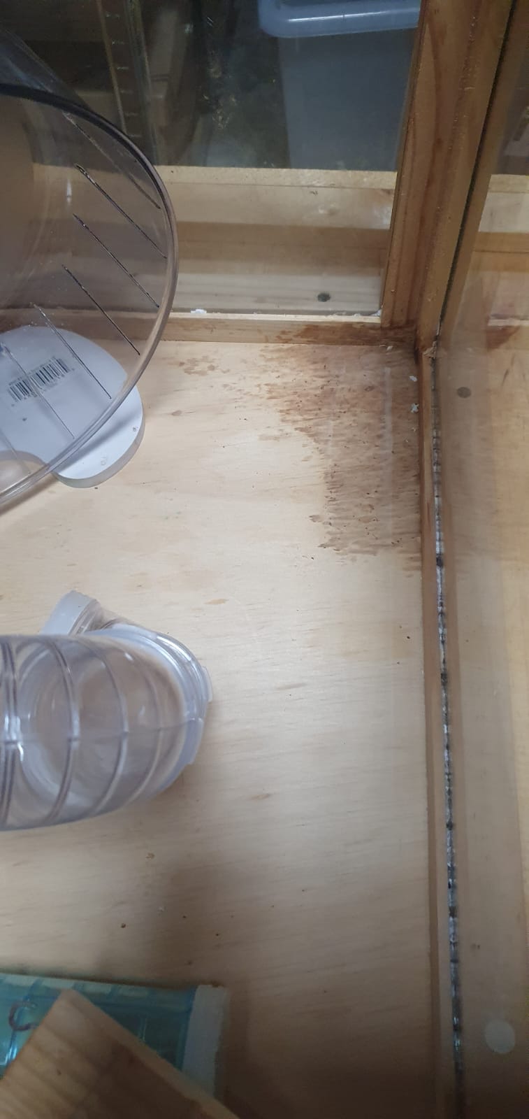 Jaula casa para Hamster o Cuy - Imagen 6