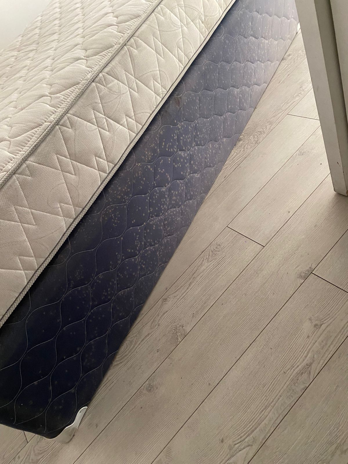Cama 1.5 plazas base nido colchón Rosen Ergo T - Imagen 2