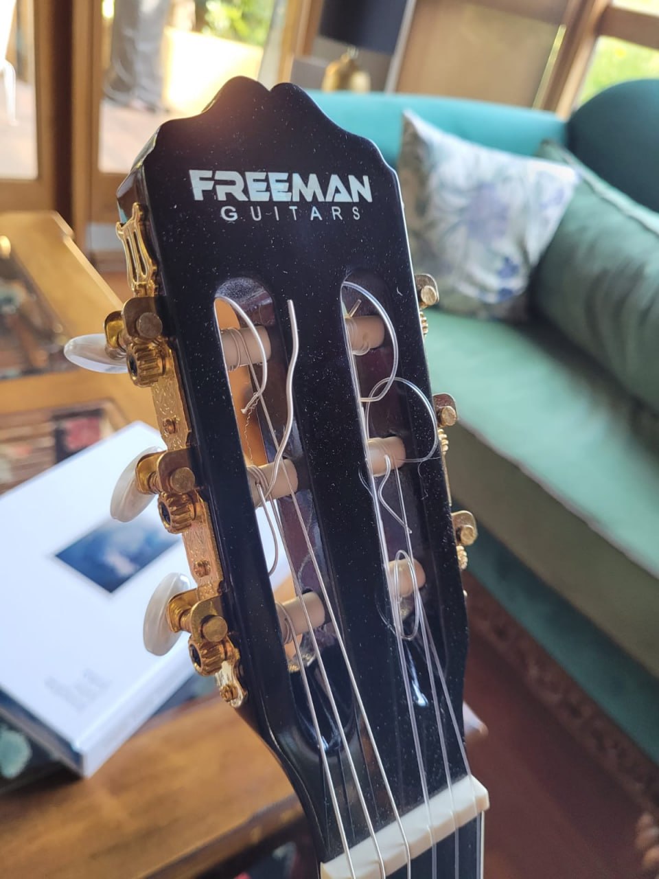 Guitarra electroacústica Freeman - Imagen 2