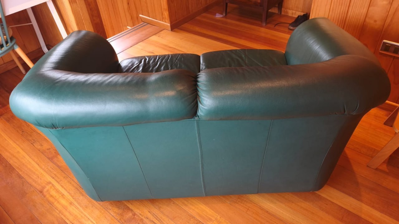 Sofá 2 cuerpos cuero Natuzzi verde